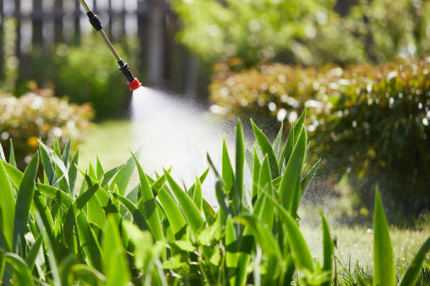 24/7 Emergency Mosquito Control experts in Pughtown, PA